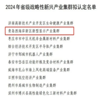 青岛西海岸新区新型显示产业集群成功获认定