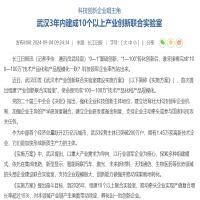 武汉将组建新型显示等产业创新联合实验室