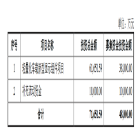 伟时电子拟募资4.8亿元，加码轻量化车载新型显示组件项目