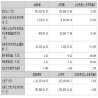 雷曼光电国际业务营收创新高，驱动上半年业绩扭亏为盈