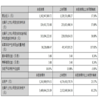 诺瓦星云、晶合集成、晨丰科技半年报一览