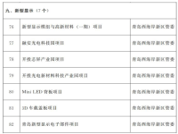 青岛2024年重点项目名单公布，7个新型显示项目入围